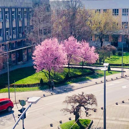 Bella Apartments Kruševac Eksteriør billede